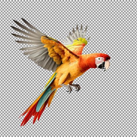 Un Loro Volador Colorido Aislado Sobre Un Fondo Blanco Archivo PSD