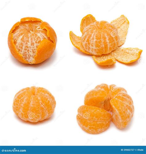 Orange Mandarin or Tangerine Fruit on White Background Stock Image
