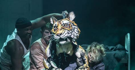 West Ends Life Of Pi Welcomes New Cast September 7 Playbill