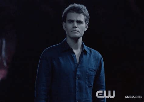 Stefan on Season 8 - The Hollywood Gossip