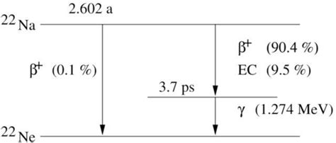 decay scheme  sodium   scientific diagram
