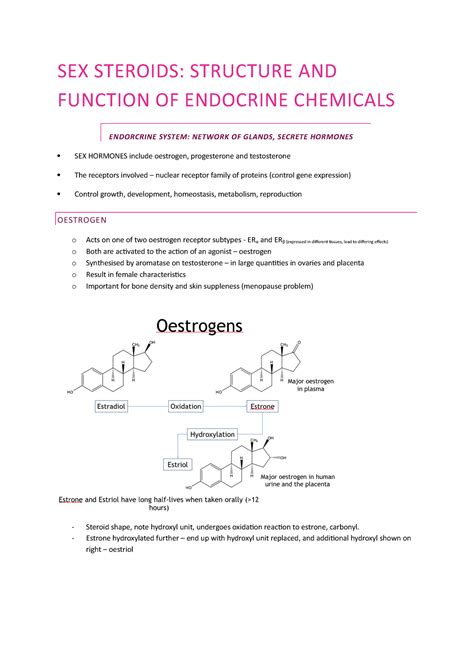 Sex Steroids Conception Pregnancy Birth Cycle Of Life Sex