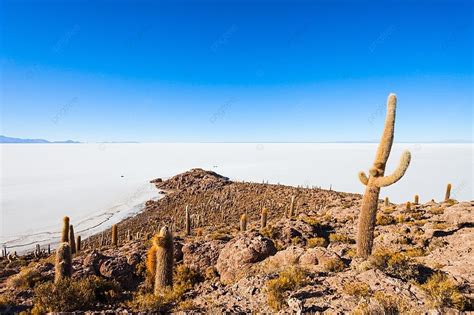 เกาะกระบองเพชรบน Salar De Uyuni ทะเลสาบน้ำเค็ม ใกล้ Uyuni ในโบลิเวีย ...