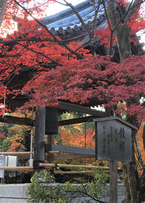 The Kinkaku-ji Temple, Japan Most Famous Temple - Kansai Odyssey