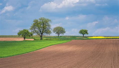 Dreamy Pixel | South moravia landscape - Dreamy Pixel