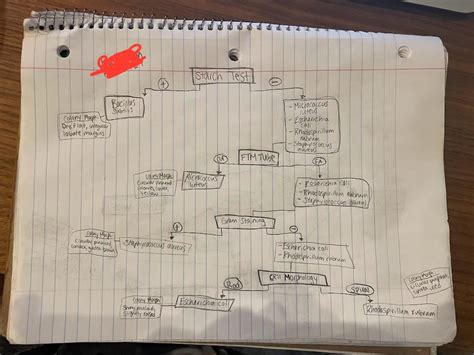 Solved I need help identifying a microorganism #3. The | Chegg.com