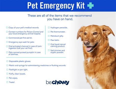 18 Must Have Items For Your Pet Emergency Kit BeChewy