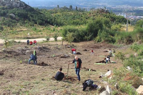 Nigr N Organiza Unha Xornada De Reforestaci N De Rbores Aut Ctonas E