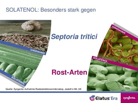 Elatus Era: Wie eine Innovation entsteht