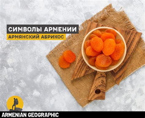 Армянский абрикос - Символы Армении - Armenian Geographic