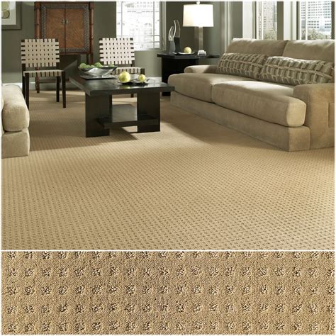 Living Rooms With Dark Carpet Texture