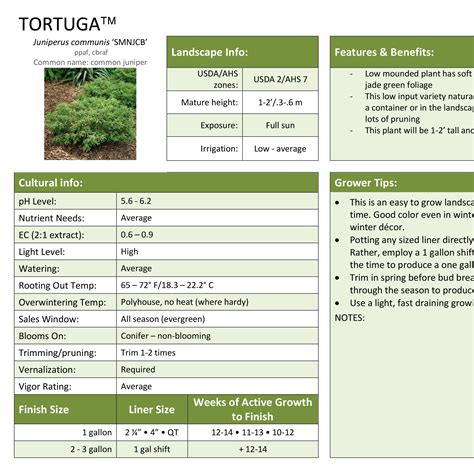 Tortuga Juniper Grower Sheet - Spring Meadow Nursery