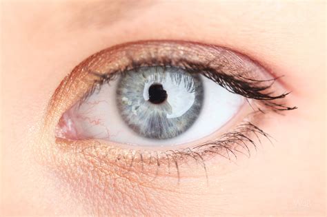 Cute Teen Babe Bella Babe Showing Off Her Yummy Pink Pussy Asshole Up Close Coedcherry