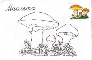 Натюрморт простой - 80 фото