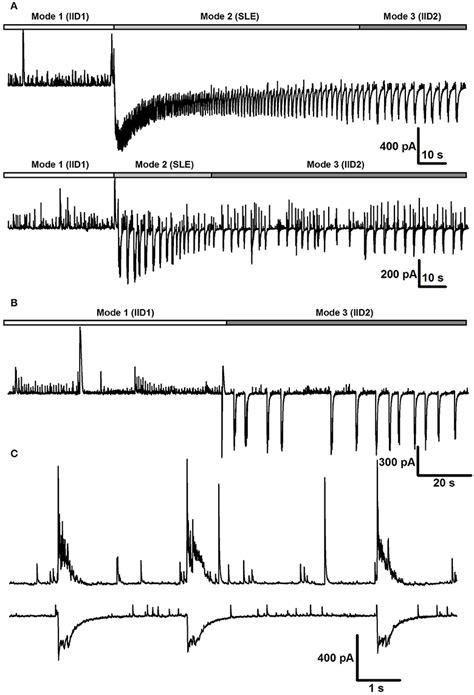 Frontiers Synaptic Conductances During Interictal Discharges In