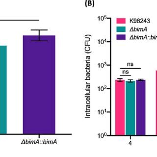 Invasion Efficiency And Intracellular Survival Of B Pseudomallei