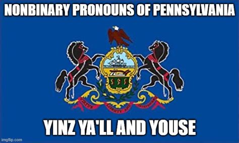 Pronouns Memes And S Imgflip