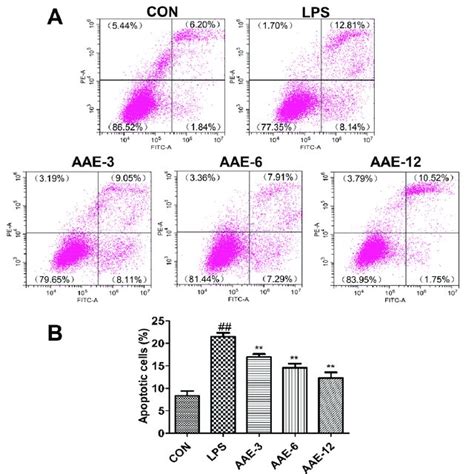 Aae Prevented Lps Induced Apoptosis The Bmecs Were Treated In The