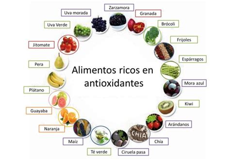 Para Qu Sirven Los Antioxidantes Y D Nde Podemos Encontrarlos