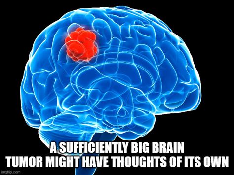 Shower Thoughts To Ponder Naked Gallery EBaum S World