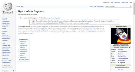 Fuck Palestine Y Fuera Putos Moros De Mierda Internacional Lolnada