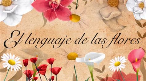 El Lenguaje De Las Flores