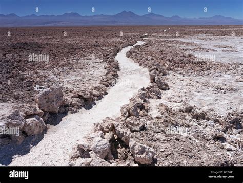 View of the Salar de Atacama, the largest salt flat in Chile Stock ...