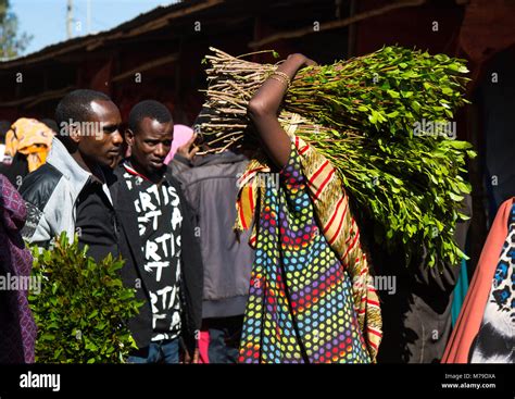 Khat Trading In Awaday Khat Market Near Harar The Khat Capital Of The