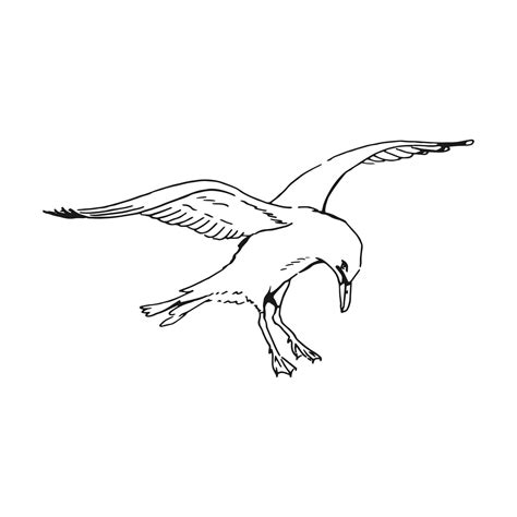 Sketch Of Flying Seagulls Hand Drawn Illustration Converted To Vector