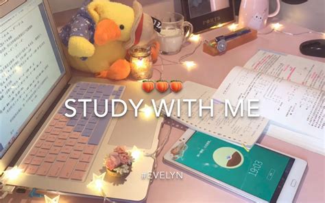 Study With Me Vlog Bilibili