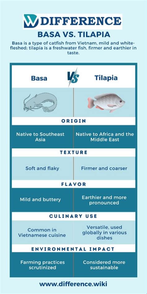 difference  basa  tilapia compare basa  tilapia basa