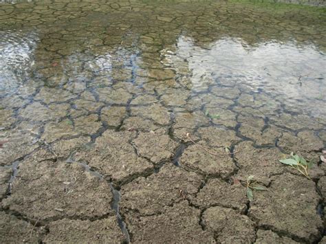 Free Stock Photo Of Cracked Earth Dam Download Free Images And Free