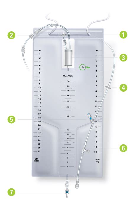 External Ventricular Drainage EVD Economic
