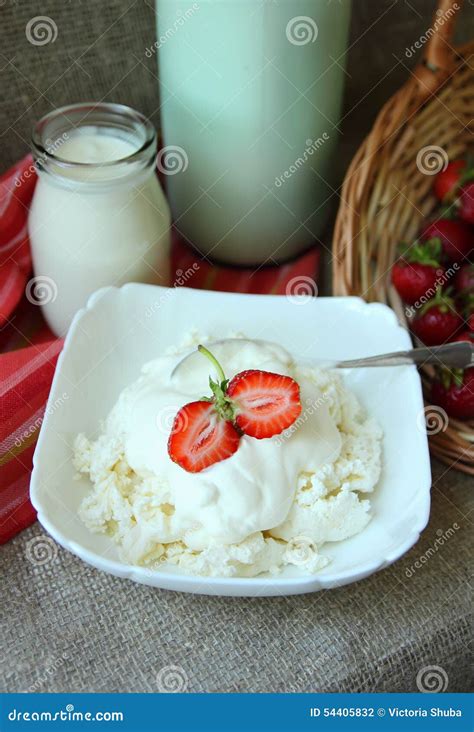 Dish Of Cottage Cheese With Sour Cream Stock Photo Image Of Healthy