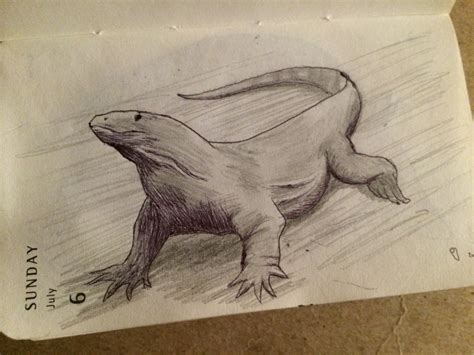 Komodo Dragon Drawing at PaintingValley.com | Explore collection of