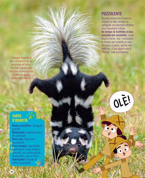 Viaggio nel mondo degli animali incredibili :: Behance