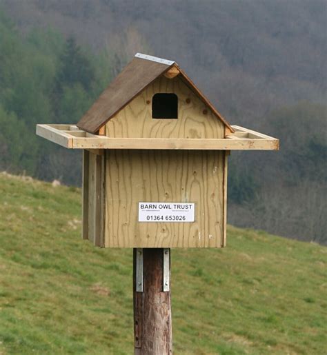 Barn Owl Nestboxes For Inside Buildings Bird Houses Diy Bird House