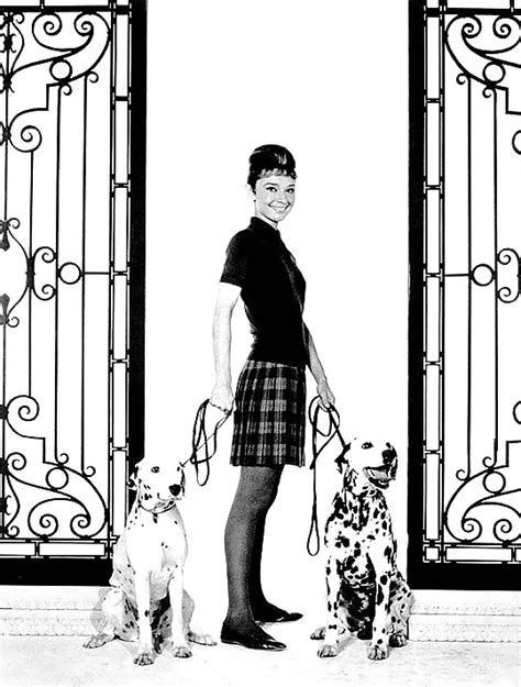 Classic Audrey Hepburn Porn Pictures Xxx Photos Sex Images Pictoa