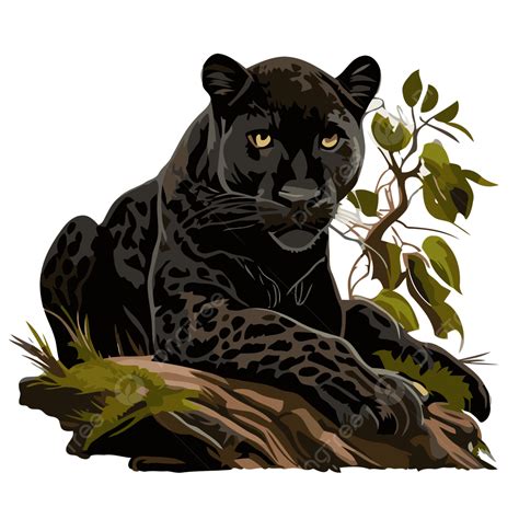 Jaguar Negro Vector Png Dibujos Pegatina Clipart Pantera Negra Fondo