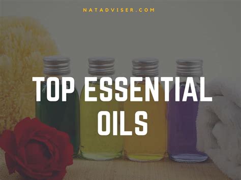 7 Best Aphrodisiac Essential Oils For Sex Libido Sexuality Increase