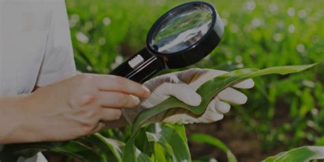 FarmBio Controle Biológico