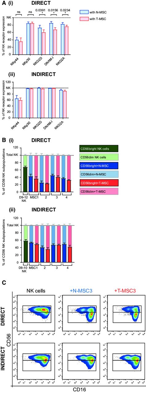 The Nk Cell Phenotype Is Strongly Modulated By Direct Co Culture With
