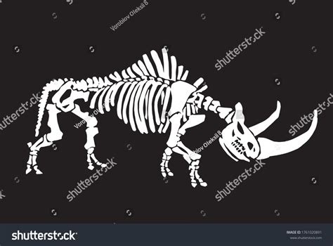 320 Rhino Bones Images Stock Photos Vectors Shutterstock