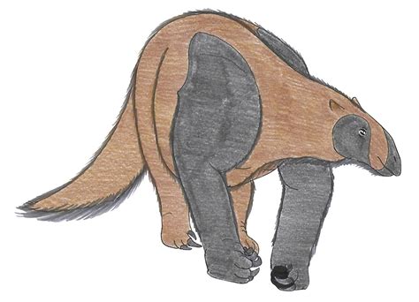 Nothrotheriops By Suchomimus62 On Deviantart