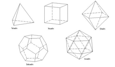 Introducci N A La Morfolog A U Estructuras Poli Dricas