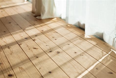 Laura Orr Interiors: Pretty Pine Flooring