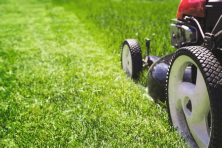 6 Turf Care Tips For A Healthy Lush Lawn Wellers Hill Hardware