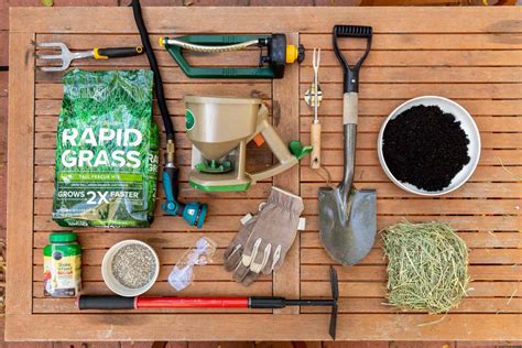 Plants That Have Naked Seeds