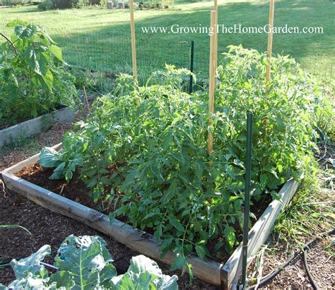 Raised Garden Bed Vegetable Layout | Fasci Garden