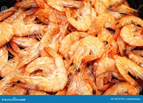 Fresh Frozen Shrimp Stock Images - Image: 16275744